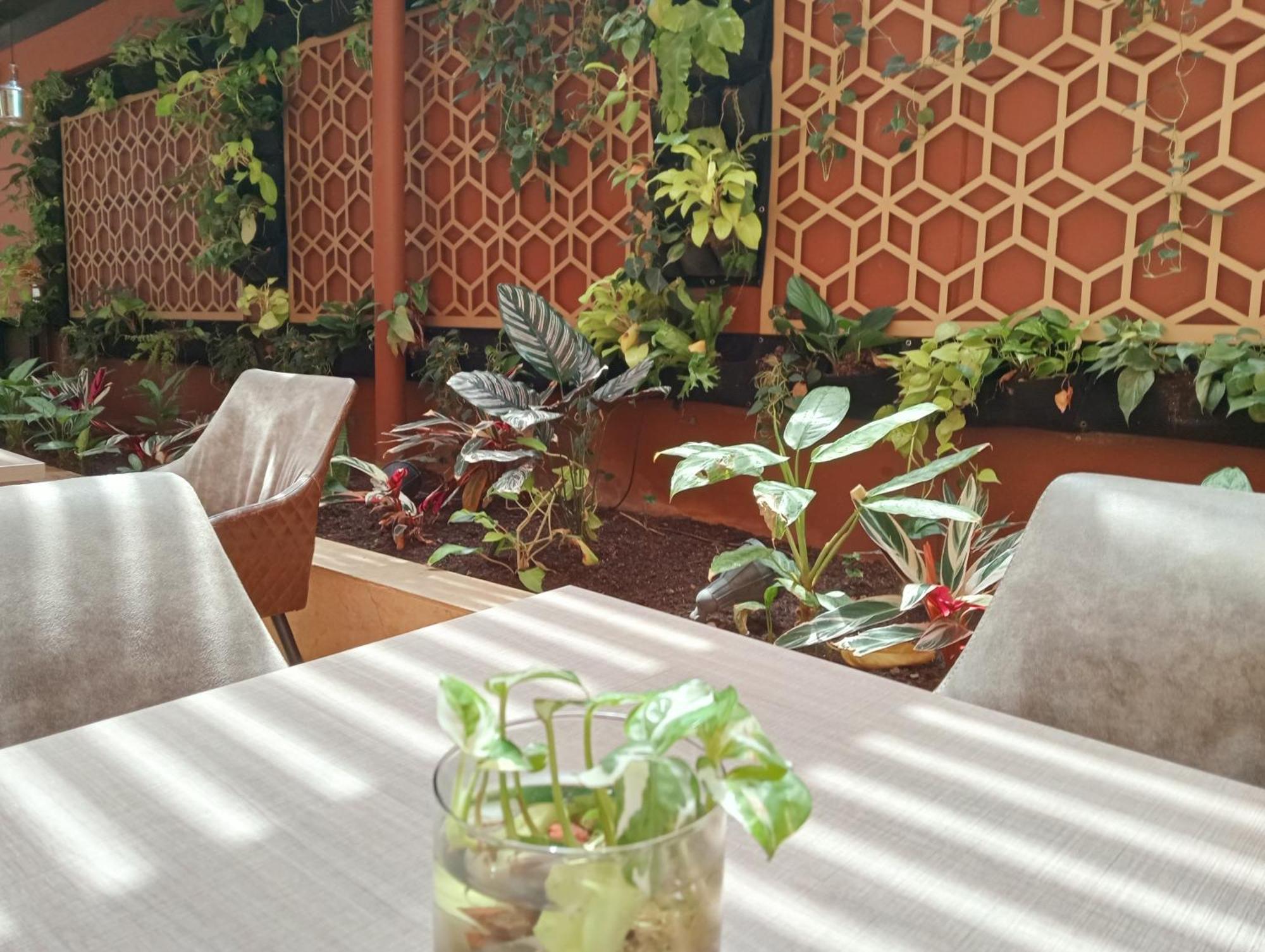 Hotel Lomas 10 Medellin By Dico Экстерьер фото